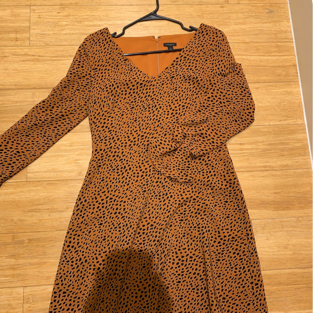 Ann taylor bell sleeves dress